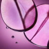 Relx Pod Tangy Grape - Image 2